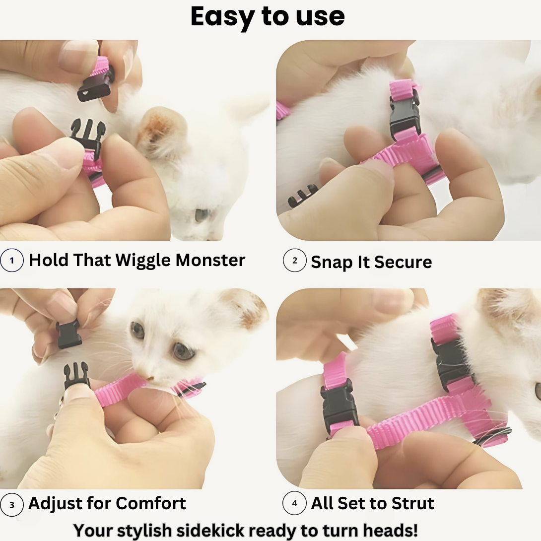 SkyGuardian Pet Harness